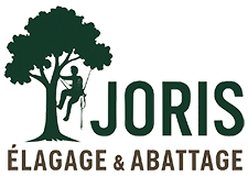 elagage-joris-elagage-et-abattage